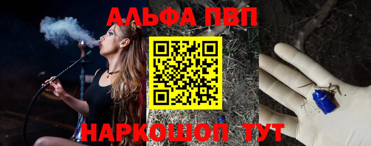 А ПВП СК КРИС Ачхой-Мартан