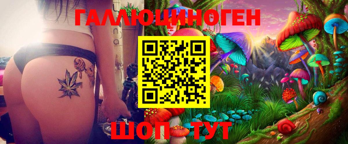 Псилоцибиновые грибы Psilocybe  Вход с VPN  Ачхой-Мартан 