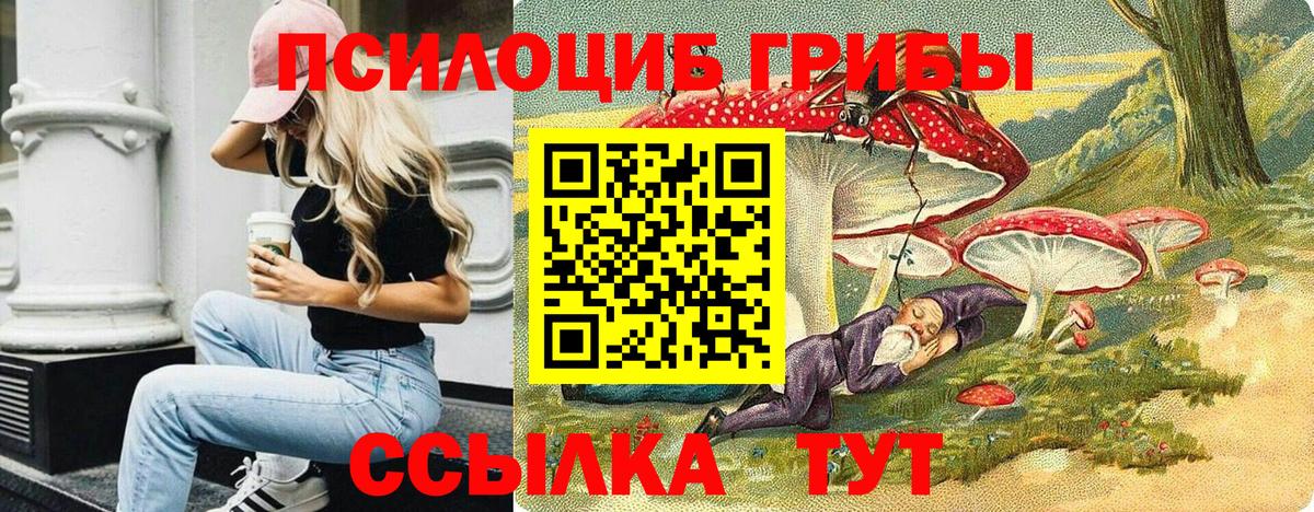 Галлюциногенные грибы Psilocybine cubensis Ачхой-Мартан
