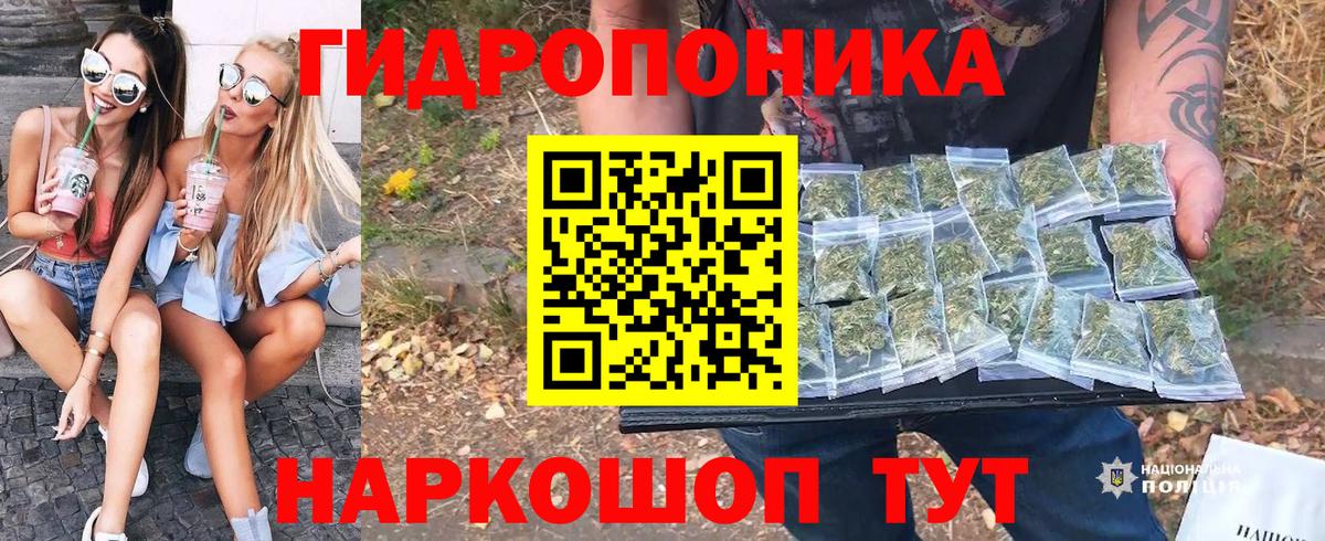 Шишки марихуана тримм Ачхой-Мартан